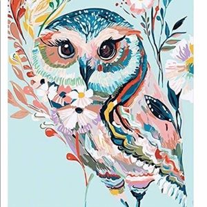 New Paint by Numbers for Adults Beginner Kids - Colorful Owl 40x50 cm
